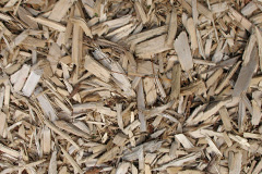 biomass boilers Pomphlett